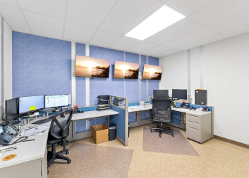 An office with different colored office partitions.