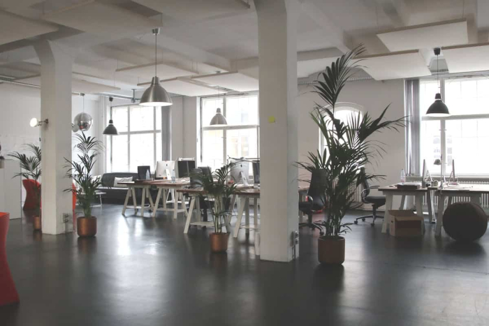A spacious open office with modern furnishings, large windows, and plenty of natural light.